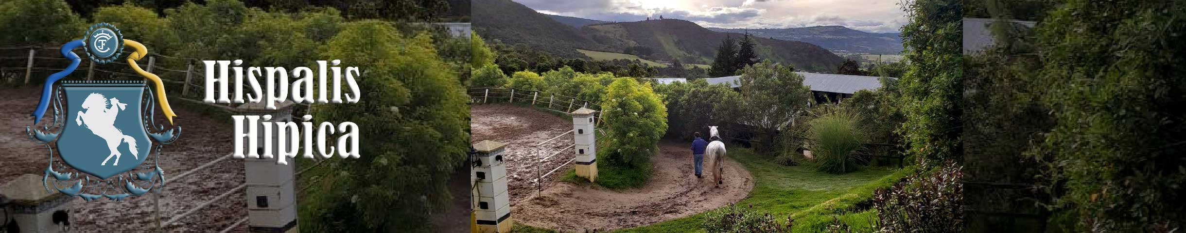 HISPALIS HIPICA Escuela Ecuestre-Mantenimiento de Caballos-Doma-Muestras-Espectaculos