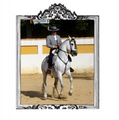 Caballos para Televisión Comerciales y Videos
