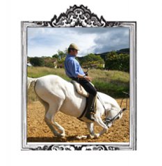 Caballos para Televisión Comerciales y Videos