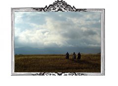 Caballos para Televisión Comerciales y Videos