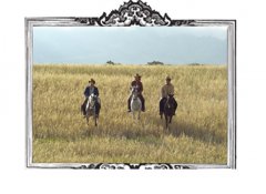 Caballos para Televisión Comerciales y Videos