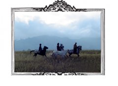 Caballos para Televisión Comerciales y Videos