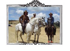 Caballos para Televisión Comerciales y Videos