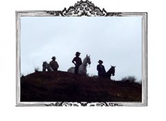 Caballos para Televisión Comerciales y Videos